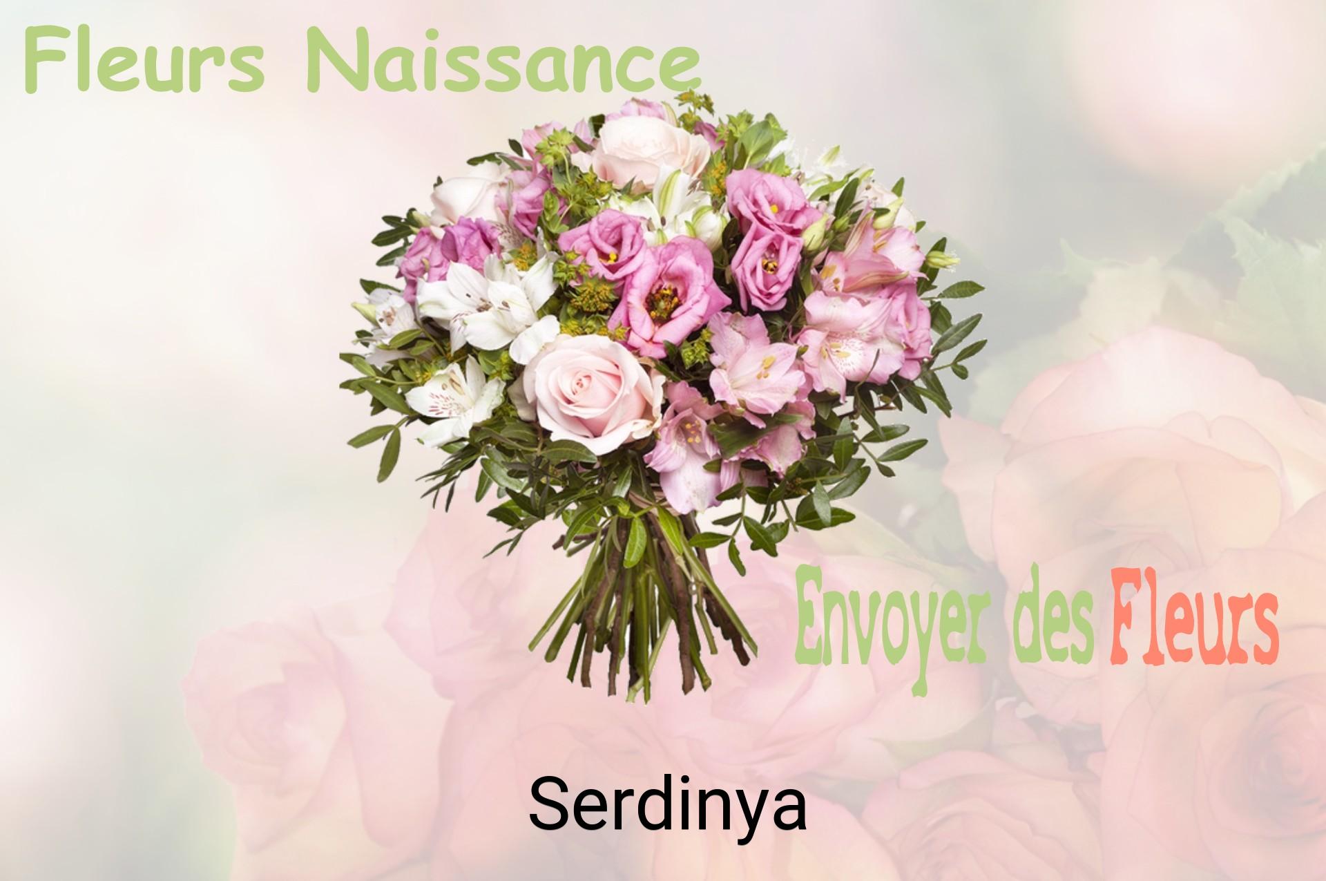 Bouquet de fleurs de naissance livré à Serdinya